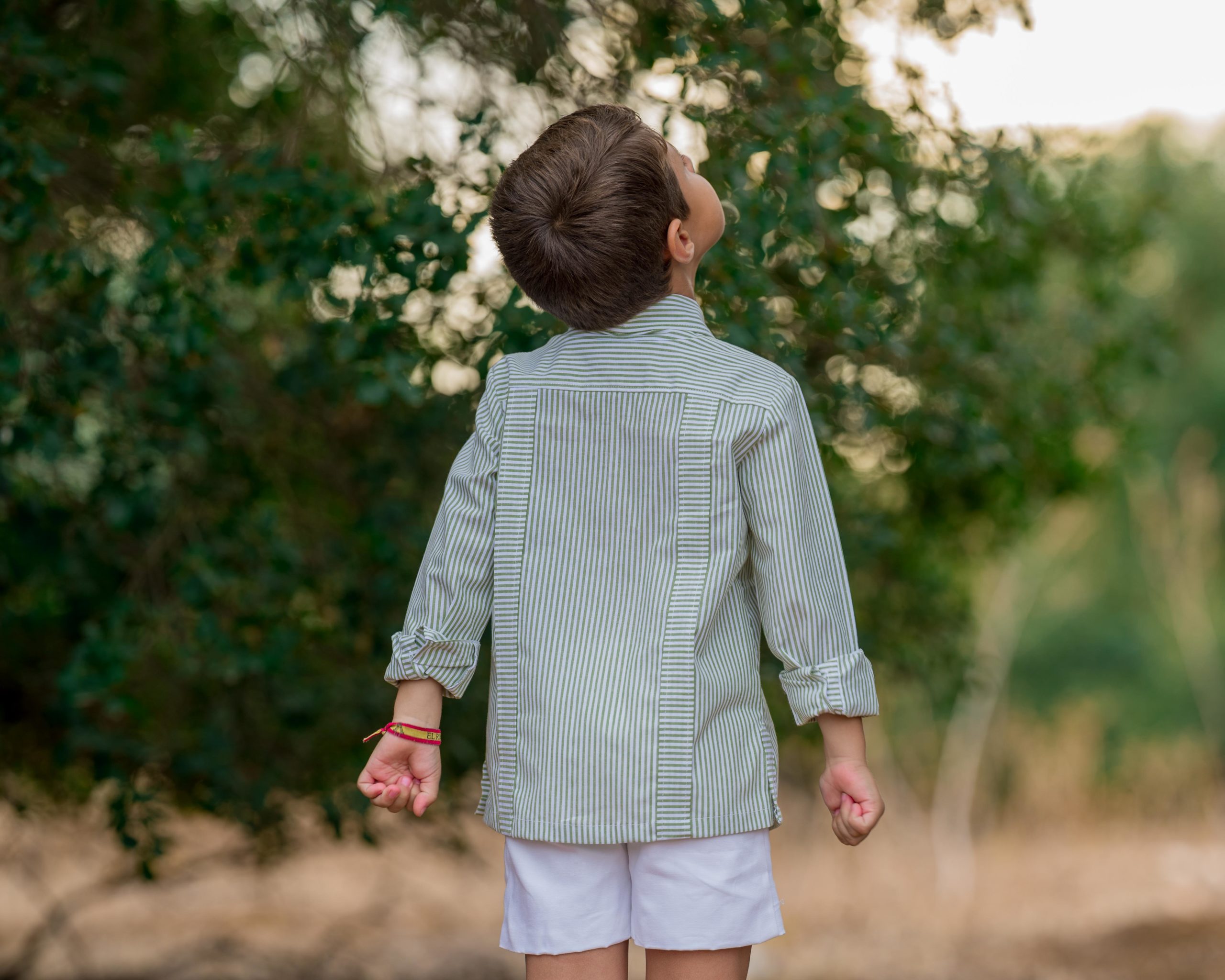 espaldaguayaberaaire